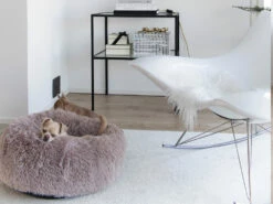 District 70 FUZZ Hundebett Donut Light Grey 5 District 70 FUZZ Hundebett Donut Light Grey -Angebote Hundeshop Store 660121 Product