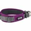 Dog Copenhagen Urban Explorer V2 Halsband Purple Passion