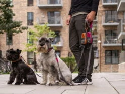 Dog Copenhagen Urban Trail V2 Hundeleine Cassic Red -Angebote Hundeshop Store 679712 Product