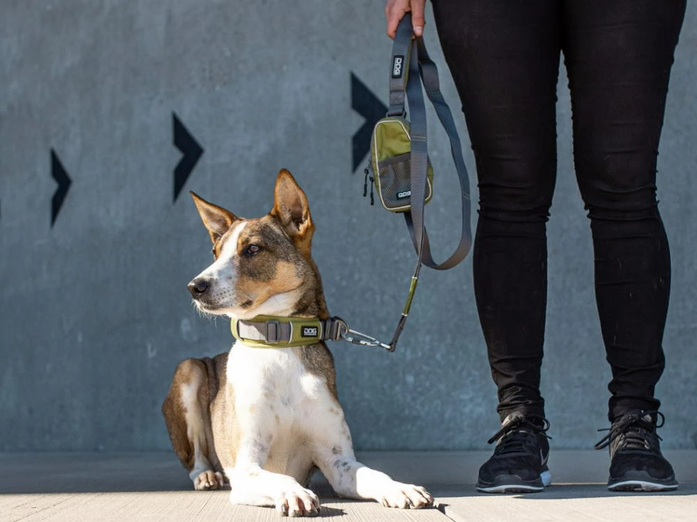 Dog Copenhagen Urban Trail V2 Hundeleine Hunting Green 6 Dog Copenhagen Urban Trail V2 Hundeleine Hunting Green – Bild 6