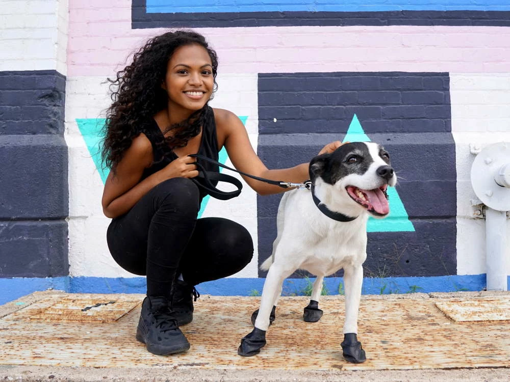 Protex Pawz Hundesocken Schwarz 2 Protex Pawz Hundesocken Schwarz – Bild 2