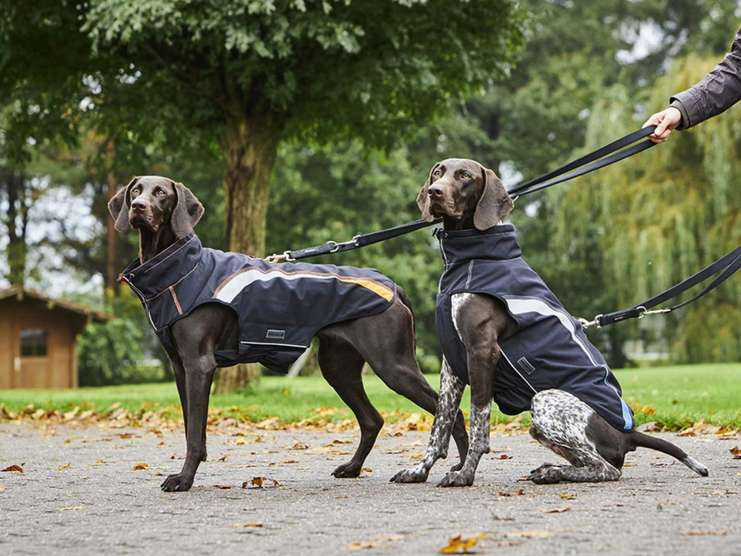 Wolters Regenjacke Xtra Strong Schwarz/neon Grün 3 Wolters Regenjacke Xtra Strong Schwarz/neon Grün – Bild 3