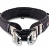 Wolters Active Pro Halsband Champagner/schwarz