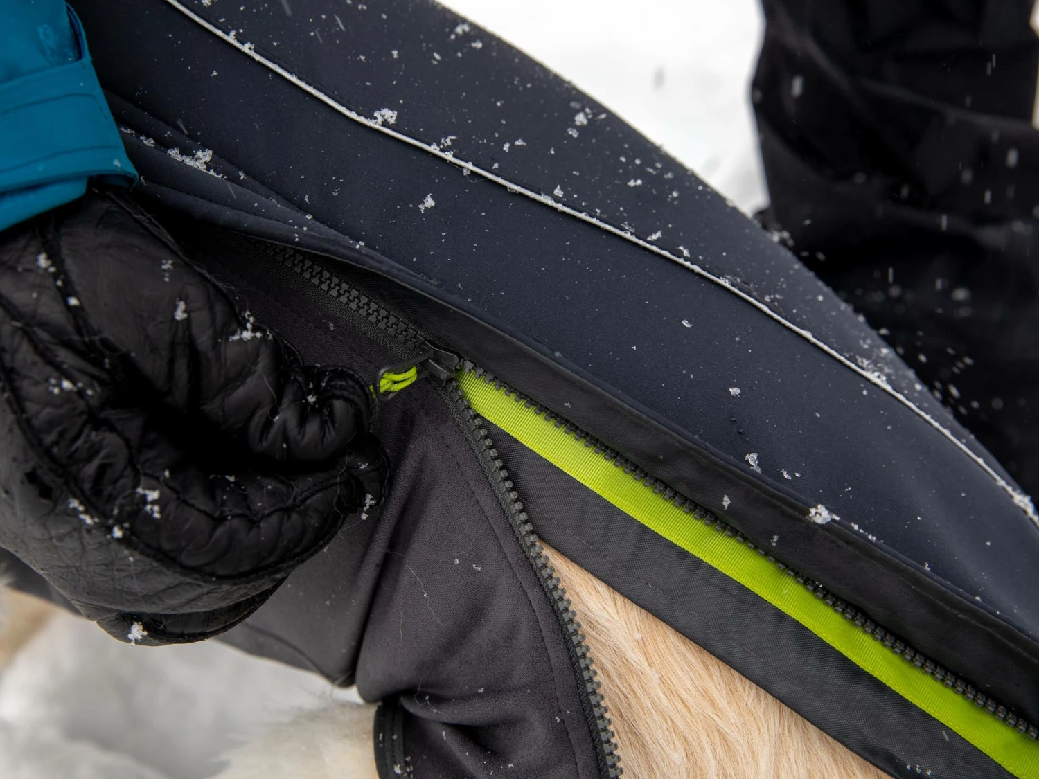 Ruffwear Cloud Chaser™ Winter Softshell Hundemantel Obsidian Black 4 Ruffwear Cloud Chaser™ Winter Softshell Hundemantel Obsidian Black – Bild 4