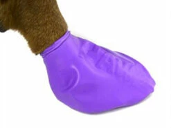 Protex Pawz Hundesocken Bunt -Angebote Hundeshop Store 706041 Product