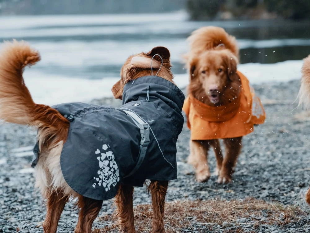 Hurtta Monsoon Regenmantel Blackberry Schwarz 2 Hurtta Monsoon Regenmantel Blackberry Schwarz – Bild 2