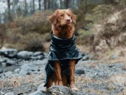 Hurtta Monsoon Regenmantel Blackberry Schwarz 7 Hurtta Monsoon Regenmantel Blackberry Schwarz -Angebote Hundeshop Store 750937 Product