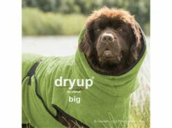 Dryup Cape Hundebademantel BIG Kiwi