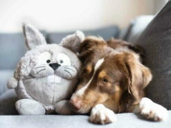 Wolters Plüschball Osterhase & Osterhäsin -Angebote Hundeshop Store 816792 Product