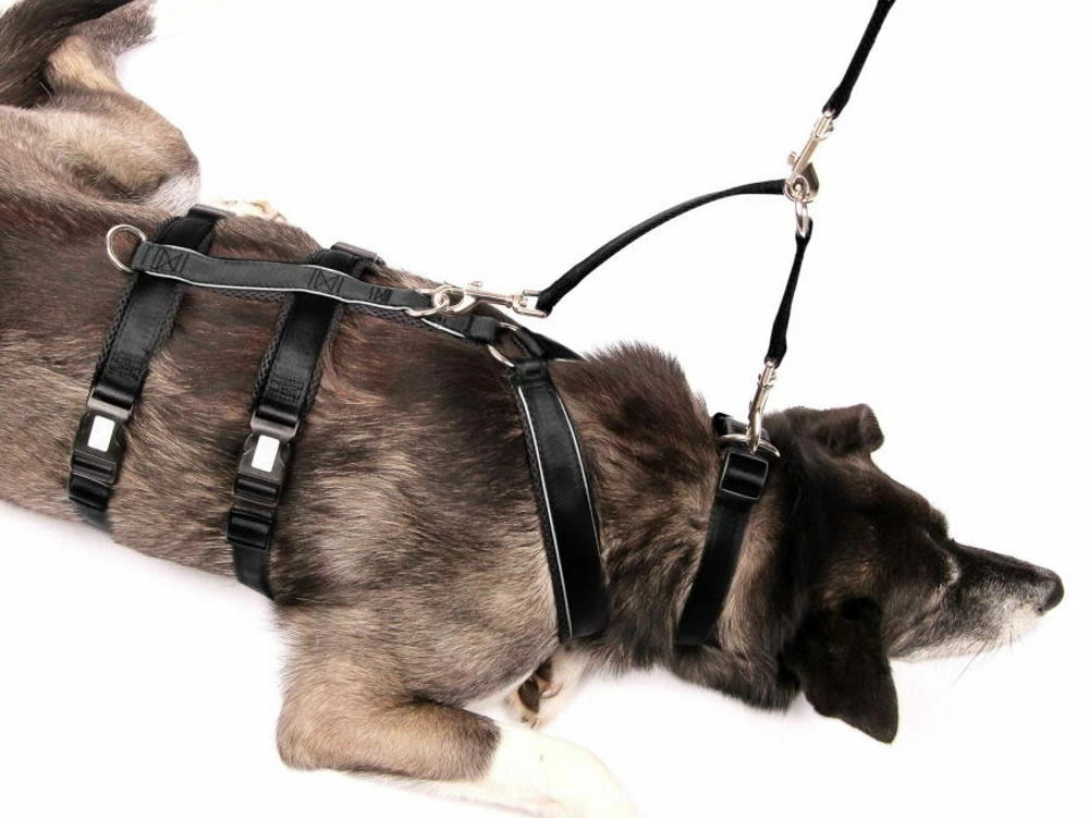 Style Snout Sicherungskoppel Für Halsband Und Geschirr 2 Style Snout Sicherungskoppel Für Halsband Und Geschirr – Bild 2