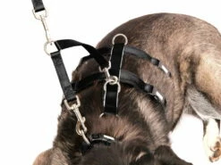 Style Snout Sicherungskoppel Für Halsband Und Geschirr 5 Style Snout Sicherungskoppel Für Halsband Und Geschirr -Angebote Hundeshop Store 846885 Product