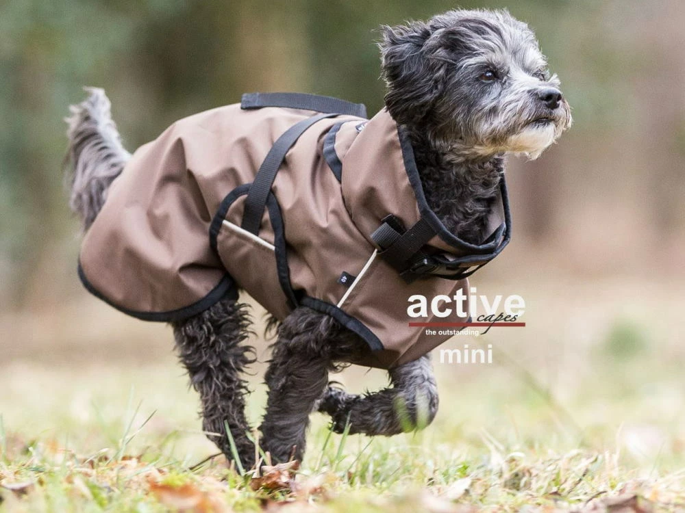 Active Cape Light Mini 2 Active Cape Light Mini – Bild 2