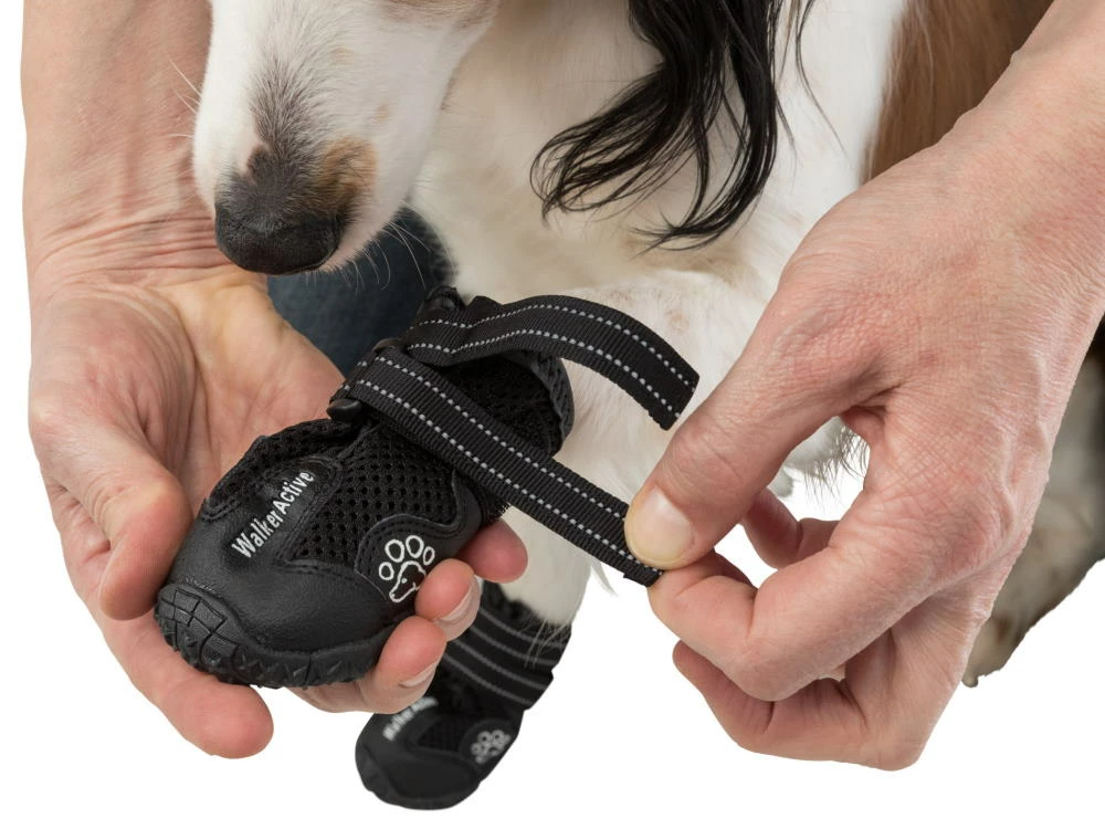 Trixie Walker Active Hundeschuhe Schwarz 4 Trixie Walker Active Hundeschuhe Schwarz – Bild 4