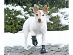 Trixie Walker Active Hundeschuhe Schwarz 10 Trixie Walker Active Hundeschuhe Schwarz -Angebote Hundeshop Store 858918 Product