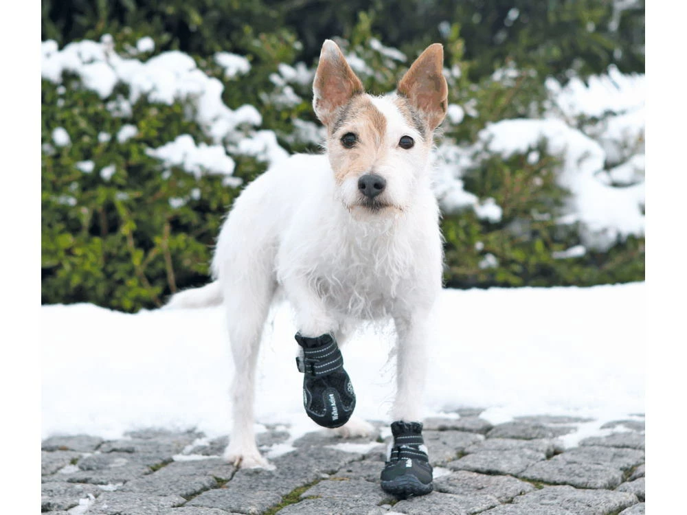 Trixie Walker Active Hundeschuhe Schwarz 5 Trixie Walker Active Hundeschuhe Schwarz – Bild 5