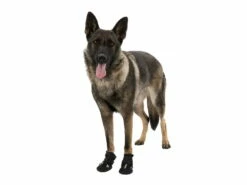 Trixie Walker Active Hundeschuhe Schwarz 11 Trixie Walker Active Hundeschuhe Schwarz -Angebote Hundeshop Store 858919 Product