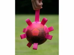 Dog Comets Hypernova Spielball Für Hunde Grün -Angebote Hundeshop Store 875309 Product