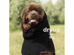 Dryup Cape Hundebademantel BIG Black