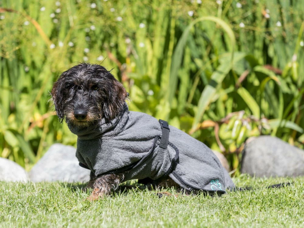 Trixie Bademantel Für Hunde 7 Trixie Bademantel Für Hunde – Bild 7