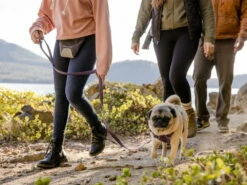 Ruffwear Front Range™ 2.0 Hundeleine Purple Sage 14 Ruffwear Front Range™ 2.0 Hundeleine Purple Sage -Angebote Hundeshop Store 909899 Product