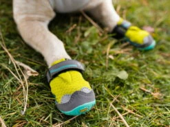 Ruffwear Grip Trex ™ Hundeschuhe Lichen Green -Angebote Hundeshop Store 910015 Product