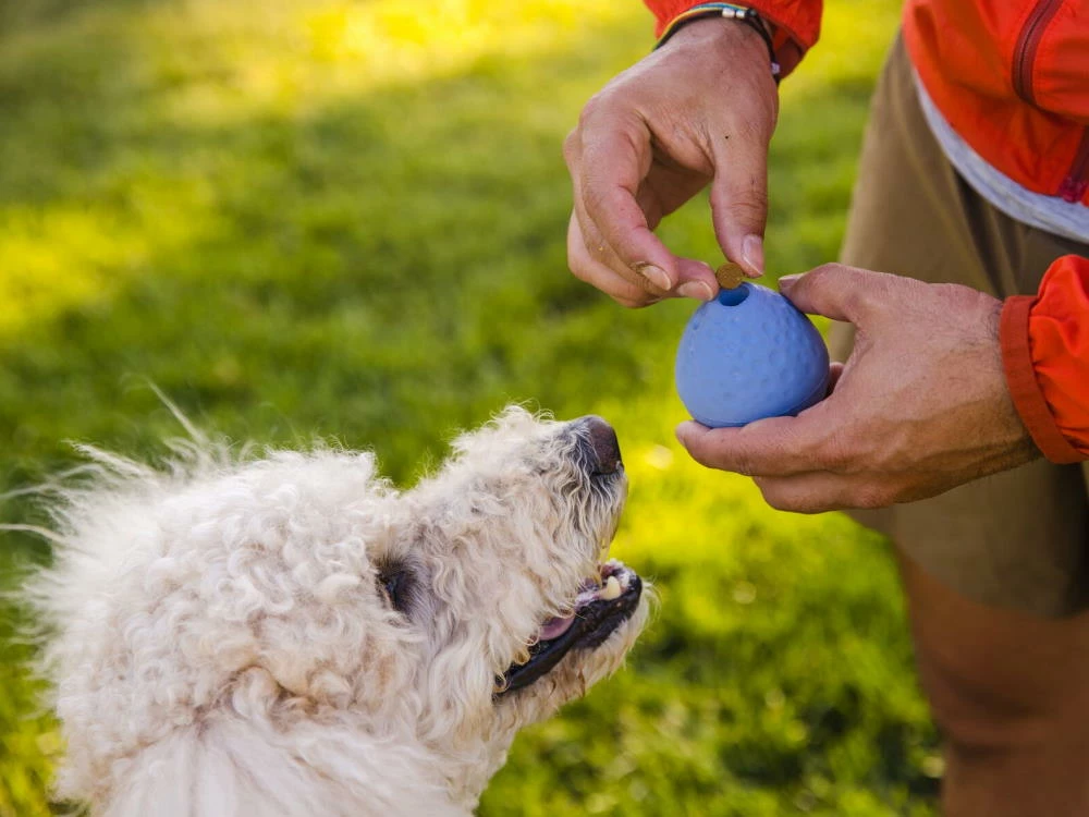 Ruffwear Turnup™ Befüllbares Hundespielzeug Heliotrop Purple 4 Ruffwear Turnup™ Befüllbares Hundespielzeug Heliotrop Purple – Bild 4