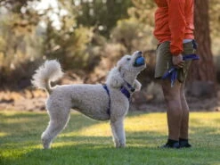 Ruffwear Turnup™ Befüllbares Hundespielzeug Heliotrop Purple 9 Ruffwear Turnup™ Befüllbares Hundespielzeug Heliotrop Purple -Angebote Hundeshop Store 915289 Product