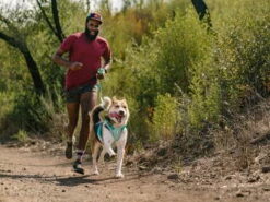 Ruffwear Hi & Light™ Leichte Hundeleine Sage Green -Angebote Hundeshop Store 916267 Product