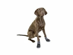 Hundeschuhe Pfotenschutz Active 2-er Set -Angebote Hundeshop Store 926391 Product