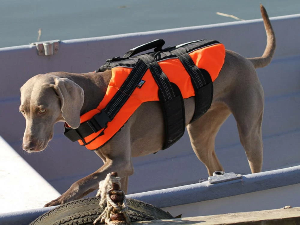 Rukka Pets Schwimmweste Für Hunde Safty Orange 2 Rukka Pets Schwimmweste Für Hunde Safty Orange – Bild 2