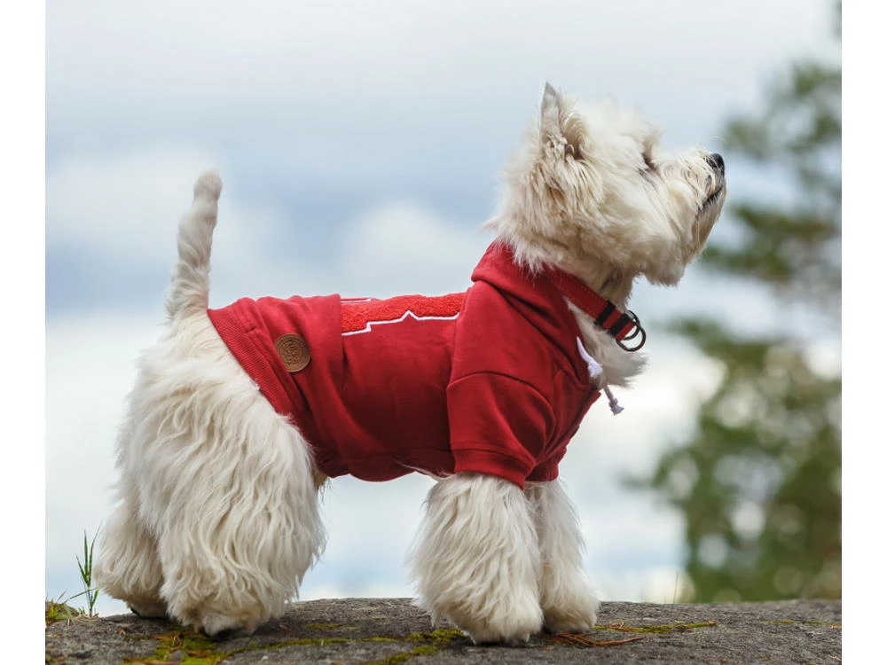 Rukka Pets Hunde-Hoodie Sierra Red 2 Rukka Pets Hunde-Hoodie Sierra Red – Bild 2