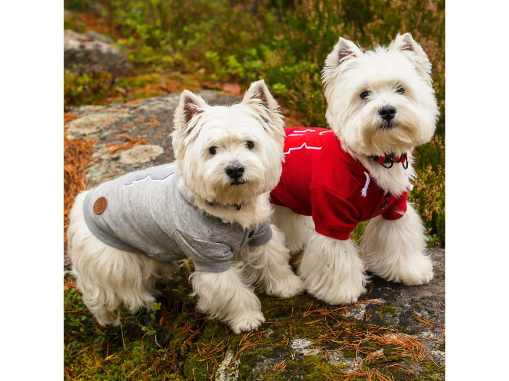 Rukka Pets Hunde-Hoodie Sierra Grau 5 Rukka Pets Hunde-Hoodie Sierra Grau – Bild 5