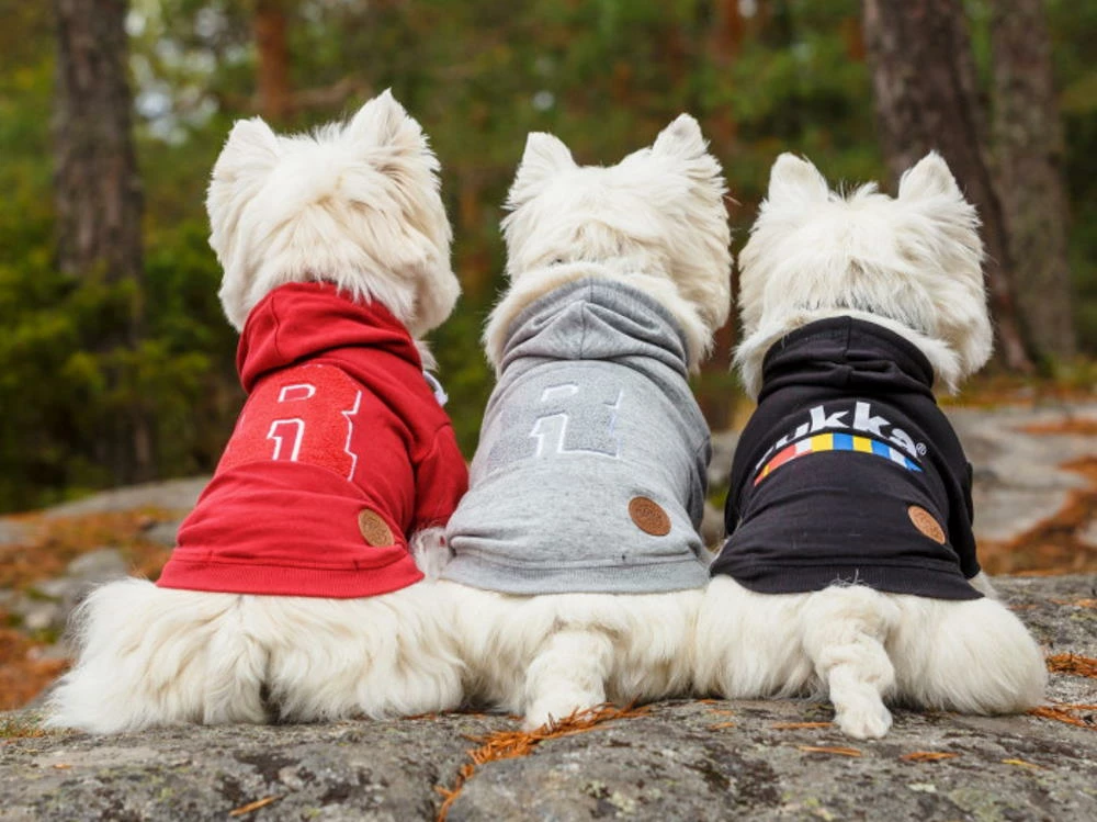 Rukka Pets Hunde-Hoodie Sierra Grau 6 Rukka Pets Hunde-Hoodie Sierra Grau – Bild 6