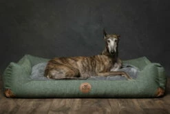 Swaggin Tails Hundebett Sömnig Waldgrün 12 Swaggin Tails Hundebett Sömnig Waldgrün -Angebote Hundeshop Store 966087 Product