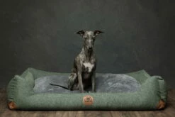 Swaggin Tails Hundebett Sömnig Waldgrün 13 Swaggin Tails Hundebett Sömnig Waldgrün -Angebote Hundeshop Store 966088 Product