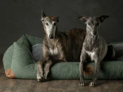 Swaggin Tails Hundebett Sömnig Waldgrün 15 Swaggin Tails Hundebett Sömnig Waldgrün -Angebote Hundeshop Store 966090 Product