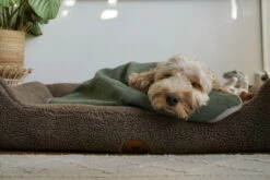 Swaggin Tails Plaid Hundedecke Waldgrün -Angebote Hundeshop Store 966475 Product