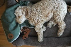 Swaggin Tails Plaid Hundedecke Waldgrün -Angebote Hundeshop Store 966476 Product