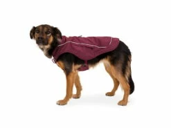 Ruffwear Overcoat Fuse Hundemantel-Geschirr Purple Rain -Angebote Hundeshop Store 967761 Product