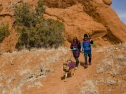 Ruffwear Overcoat Fuse Hundemantel-Geschirr Purple Rain -Angebote Hundeshop Store 967762 Product