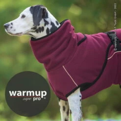 Warmup Cape Pro Hundemantel & Bademantel Bordeaux 3 Warmup Cape Pro Hundemantel & Bademantel Bordeaux -Angebote Hundeshop Store 979491 Product