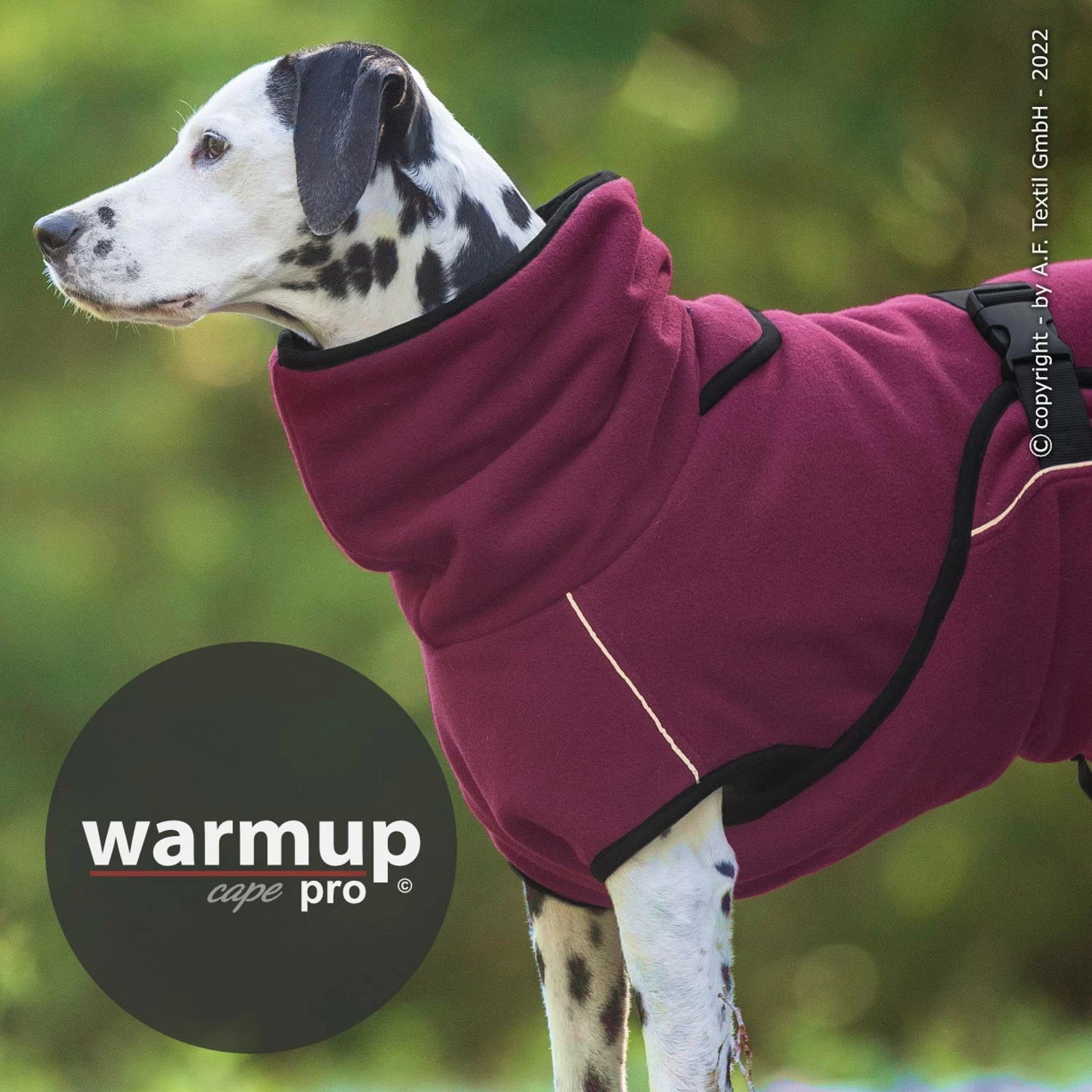 Warmup Cape Pro Hundemantel & Bademantel Bordeaux 2 Warmup Cape Pro Hundemantel & Bademantel Bordeaux – Bild 2