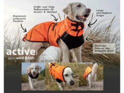 Active Cape Elastic Wind & Rain Orange