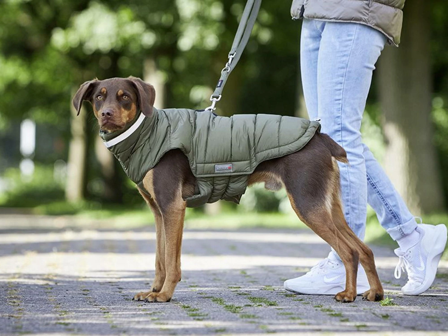 Wolters Steppjacke Cosy Warmer Hundemantel Braun 2 Wolters Steppjacke Cosy Warmer Hundemantel Braun – Bild 2