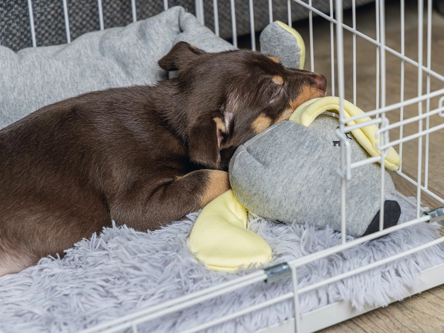 Hello Puppy Welpen Schlafrolle Doggy 2 Hello Puppy Welpen Schlafrolle Doggy – Bild 2