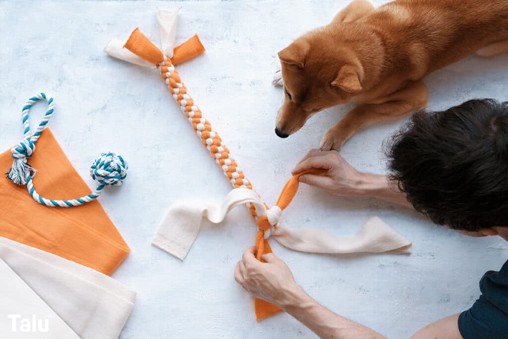 Angebote Hundeshop Store 40 Angebote Hundeshop Store -Angebote Hundeshop Store hundespielzeug selber machen hommade educatio en 1024x683 1